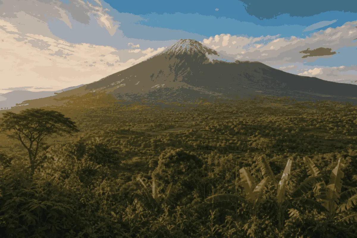 Kamerun