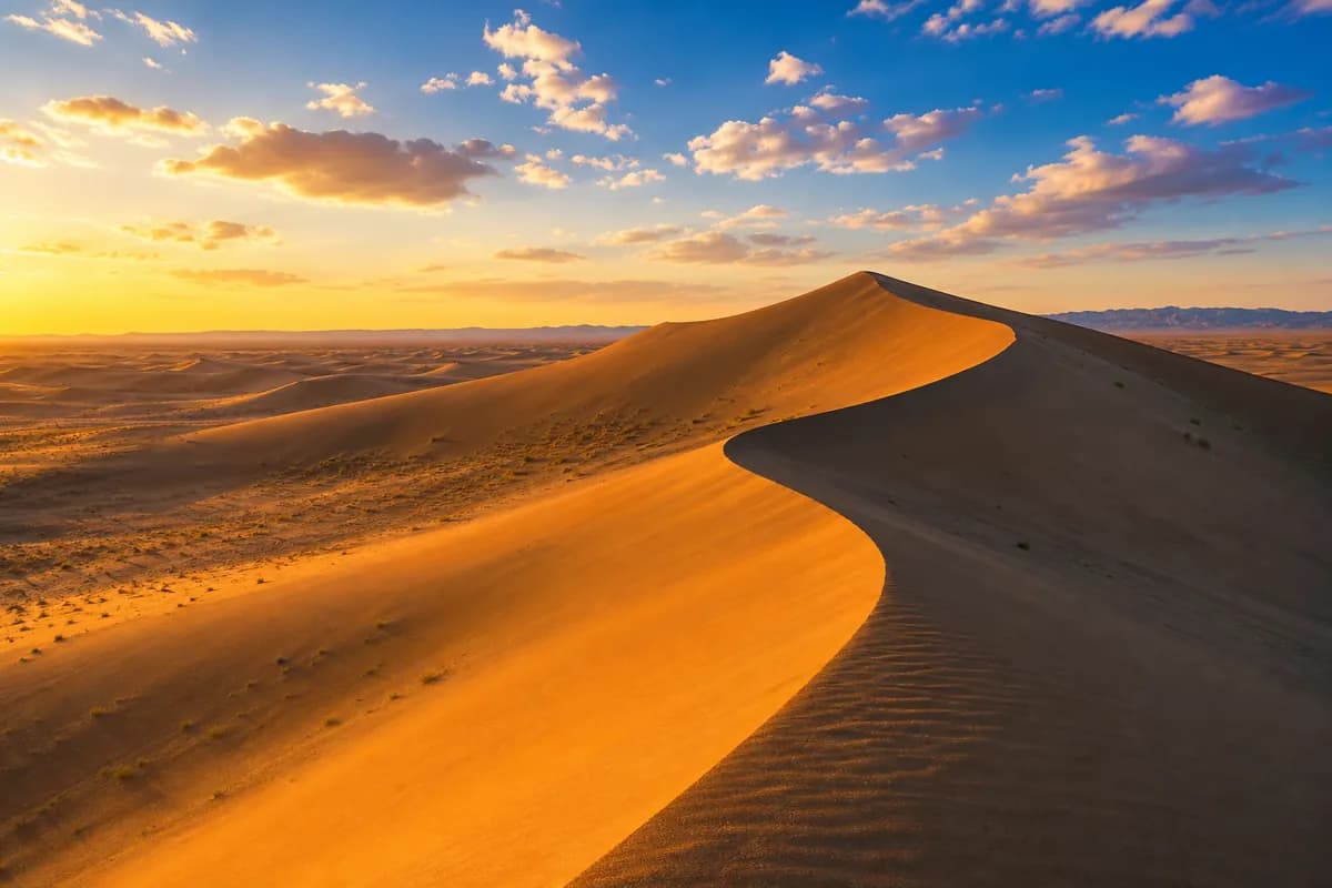 Mongolsko
