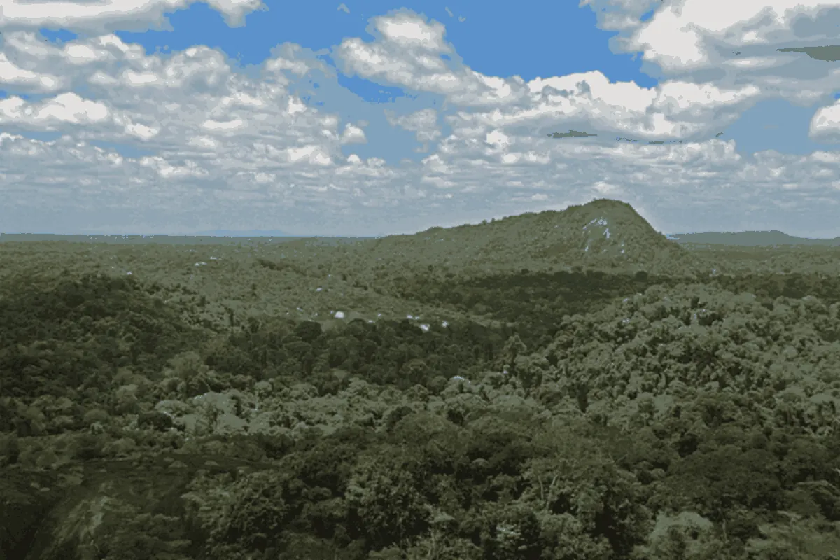 Surinam