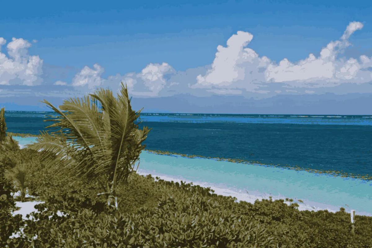 Turks ve Caicos Adaları