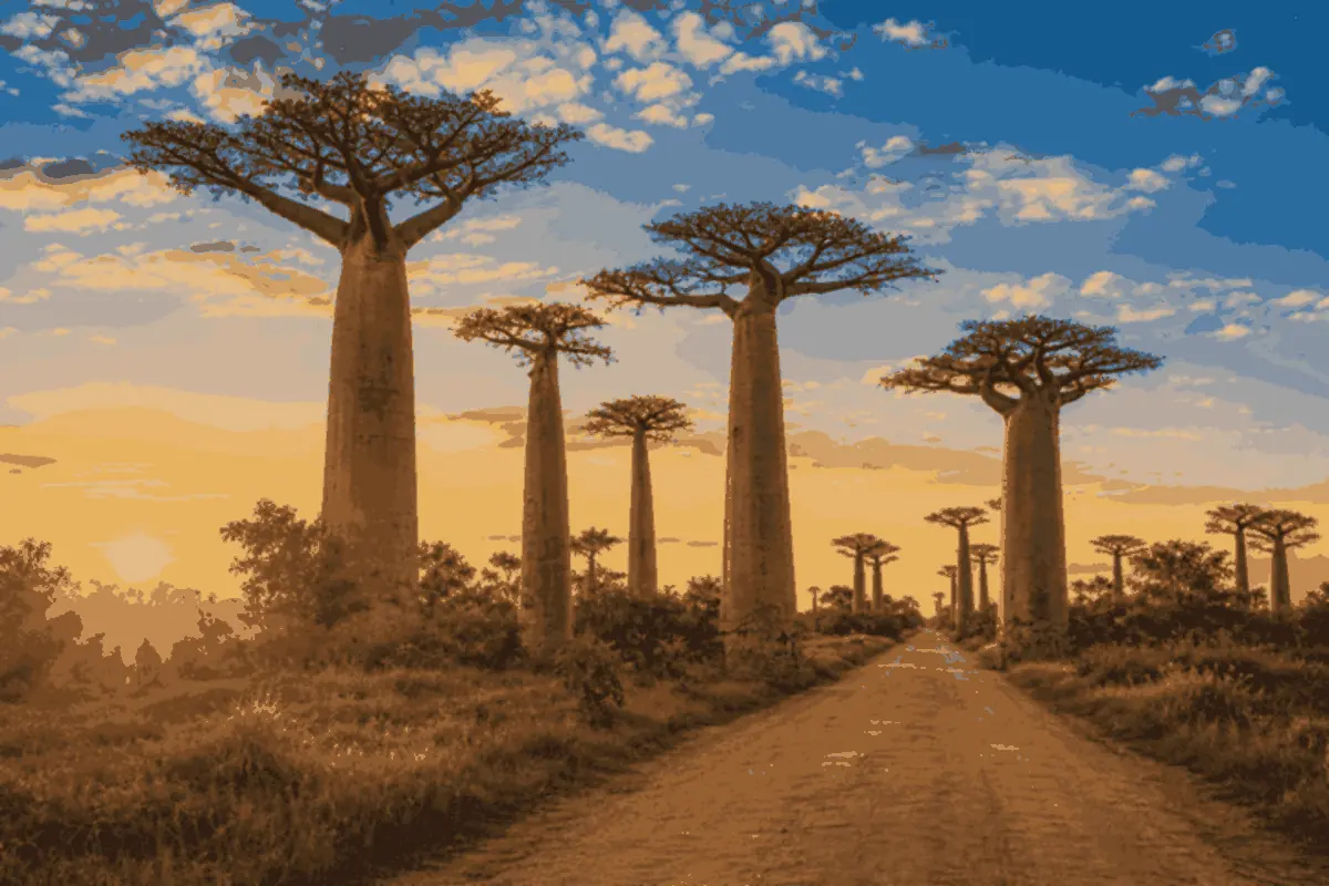 Madagaskar